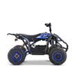 Electric Quad Bikes