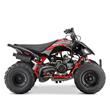 Adult Quad Bikes