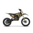 Electric Motorcycles 