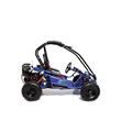 Mini Off Road Buggies