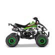 Petrol Quad Bikes