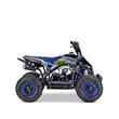 Junior Quad Bikes