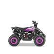 Mini Quad Bikes