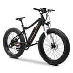 Electric Bikes