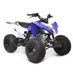 Adult & Junior Quads