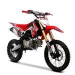 Pit & Dirt Bikes