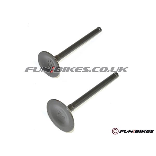 Pit Bike Valves Engine Valves YX150 YX160