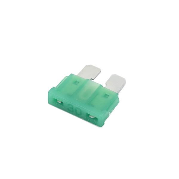 FunBikes Excite 1000w Mini Quad 30A Fuse