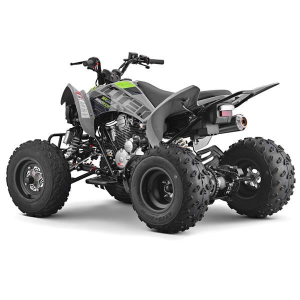 10Ten RXR 250 Grey/Green Adult Petrol Quad Bike