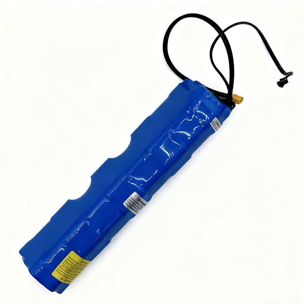 FunBikes MXR Freestyle 36V 7.8AH Lithium Battery