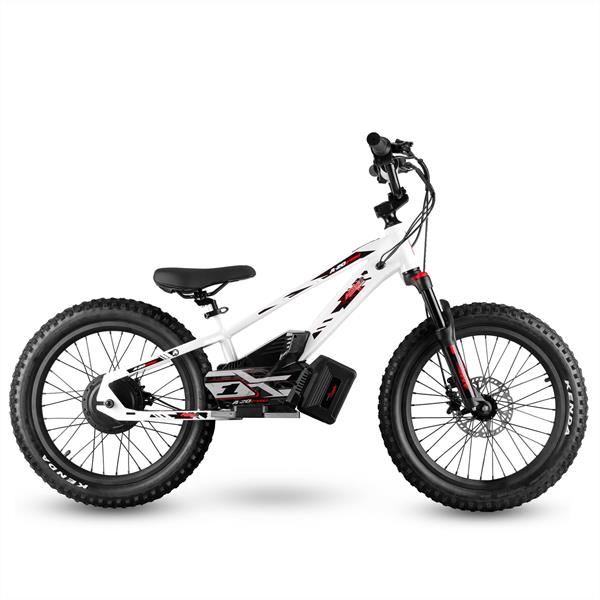 Amped A20 Pro Black 800w Electric Balance Bike