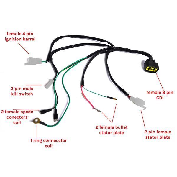 Pit Bike Wiring Loom Zongshen 155