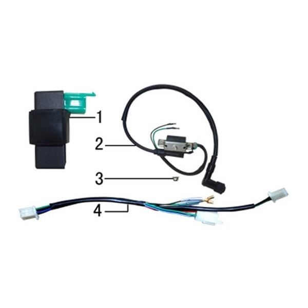 M2R KXF110F Pit Bike Wiring Loom