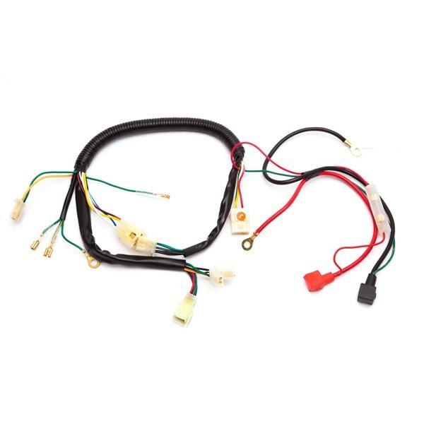 M2R 50R Wiring Loom