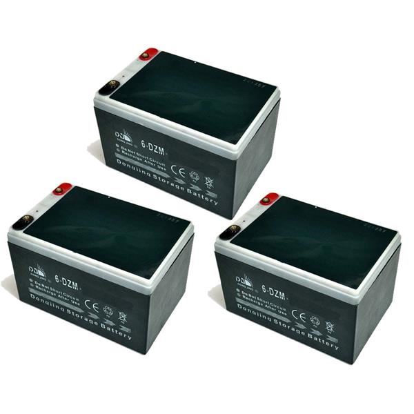 Mini Quad 36 Volt Battery Pack