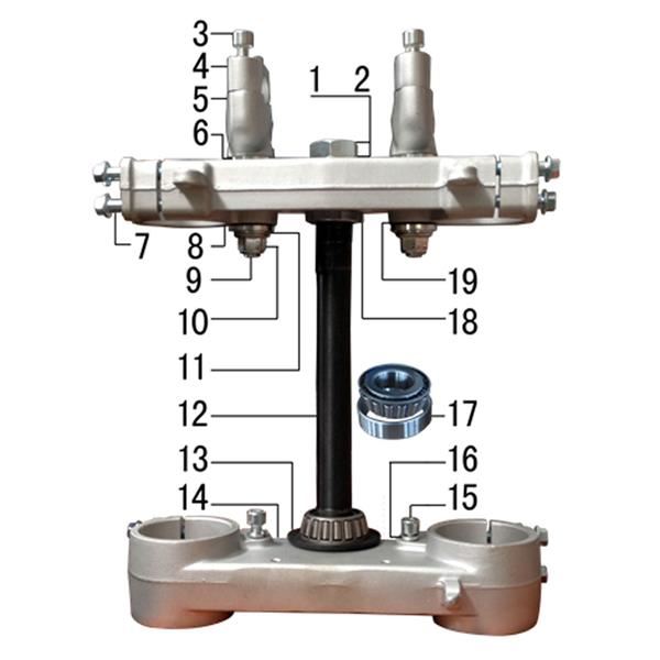 Ten10 250R Dirt Bike headstock Bearing Kit