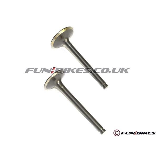 Pit Bike Valves Engine Valves YX150 YX160
