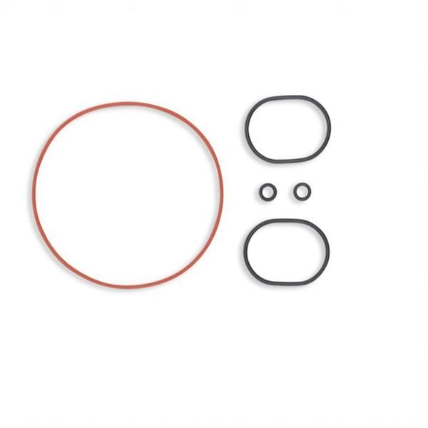 KMX-R 160 Pit Bike Engine Oil Seal Set