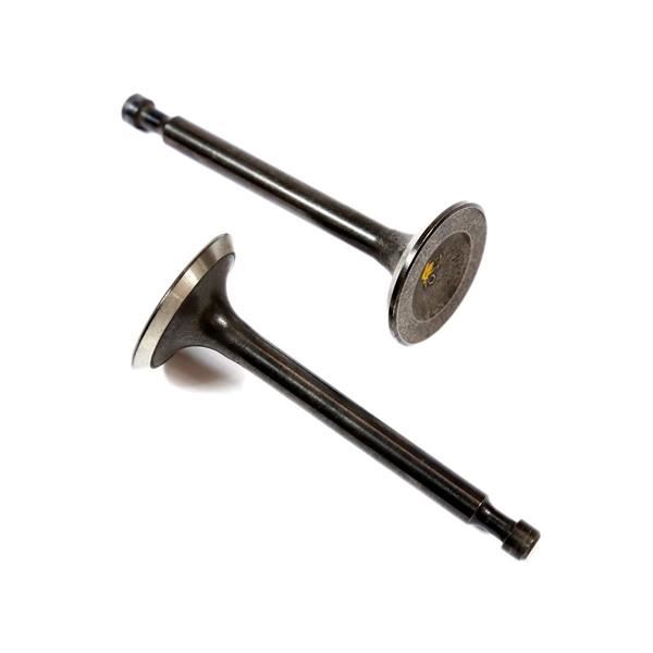 Go Kart, Buggy 156cc 196cc Valve Set