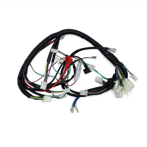 FunBikes Xtrax Sport 125cc Quad Bike Wiring Loom