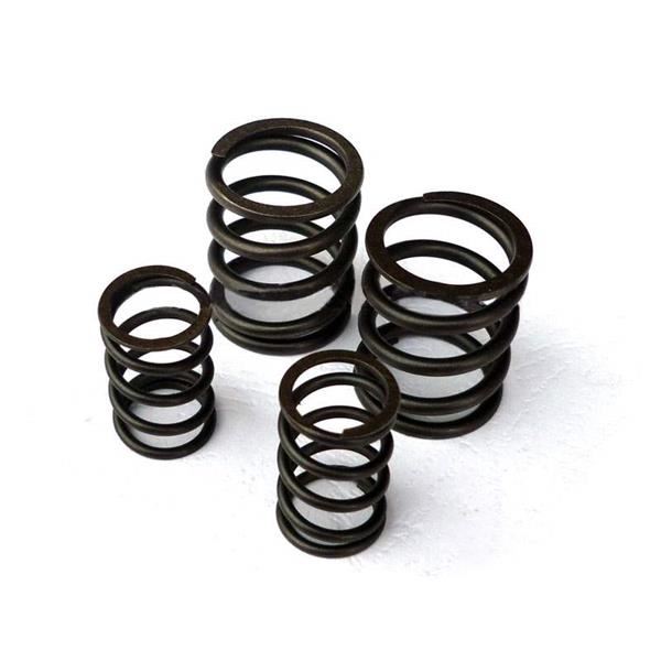 Pit Bike Valve Spring Set YX150 / YX160