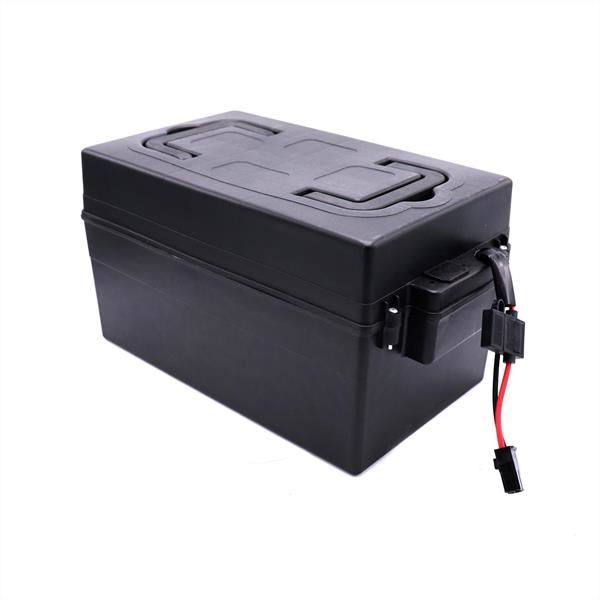 FunBikes Xtrax E-Sport 1000w Quad Bike 48v Complete Battery Pack