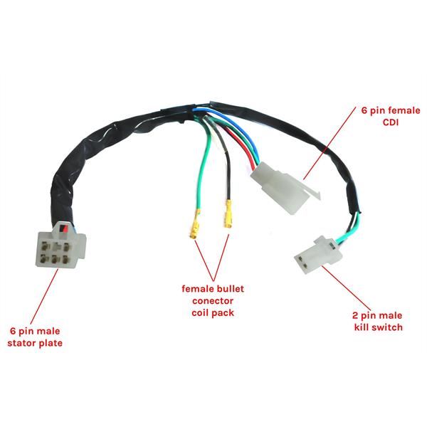 Pit Bike Wiring Loom Type 2
