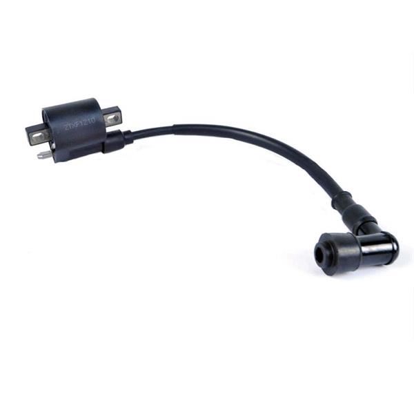 Bike Coil Pack Type 2