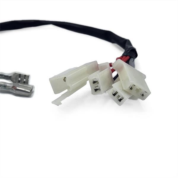 FunBikes Excite 1000w Mini Quad Horn Wiring
