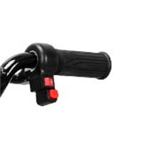 Amped A16 Black 120w Electric Kids Balance Bike