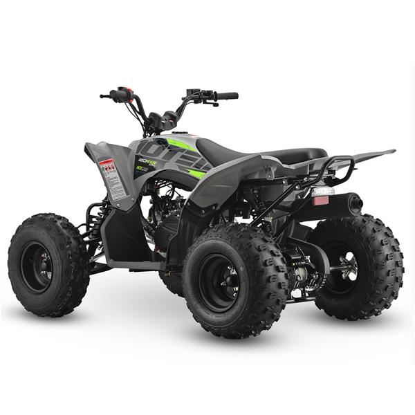 10Ten RXR 120 EFI Adult Petrol Quad Bike