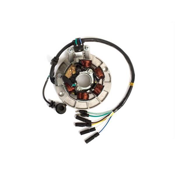 Pit Bike Electric Start Stator Plate