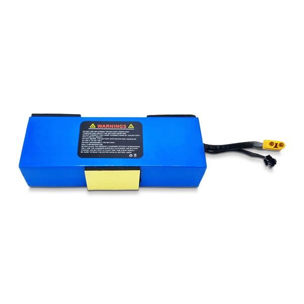 FunBikes MX350 36V 4AH Lithium Battery
