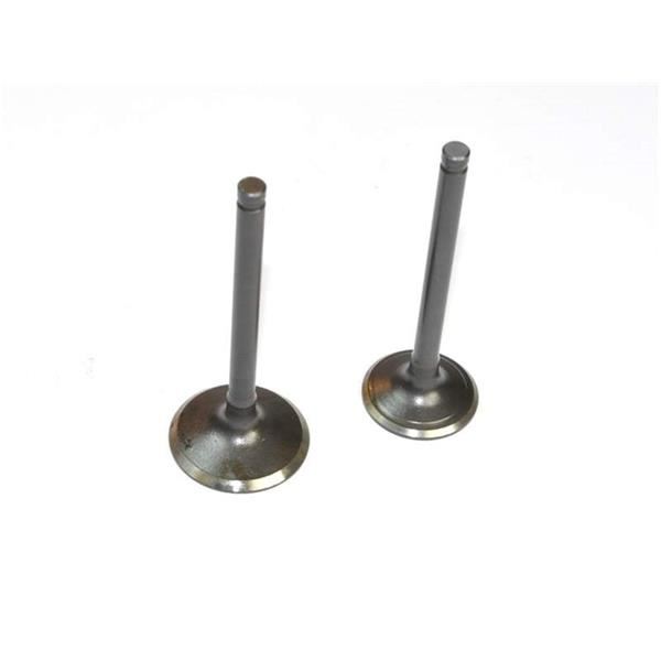Pit Bike Valves Engine Valves YX150 YX160