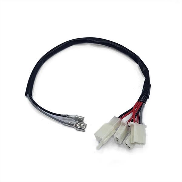 FunBikes Ranger 800w Mini Quad V2 Horn Wiring EQ5