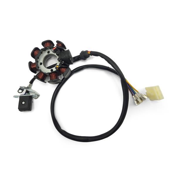 10Ten 250R Dirt Bike Stator Plate