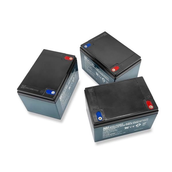 FunBikes T-Max Roughrider 1100w 36 Volt Battery Pack