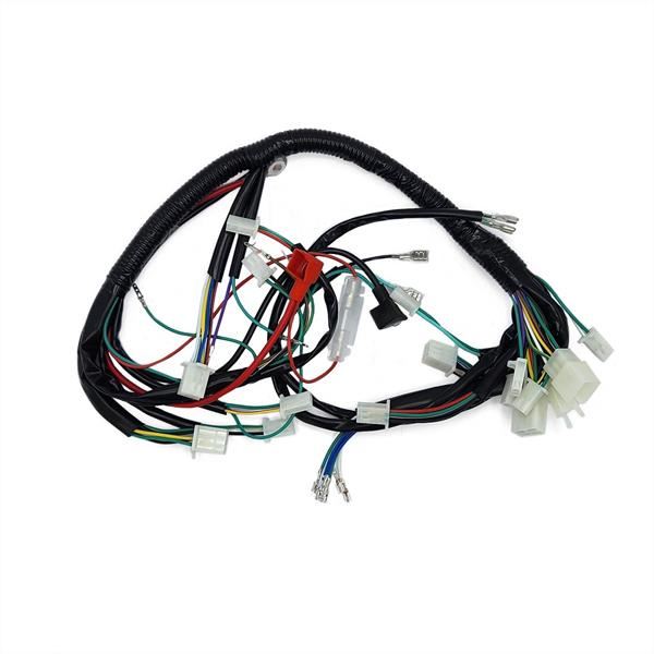 FunBikes Xtrax 125cc Quad Bike Wiring Loom