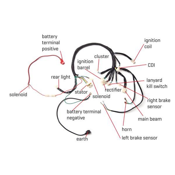 EGL 110 Quad Bike Wiring Loom