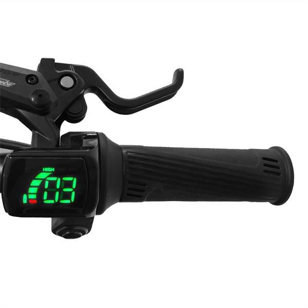 Amped A16 Pro 400w 36v 5ah Li Black Kids Electric Balance Bike