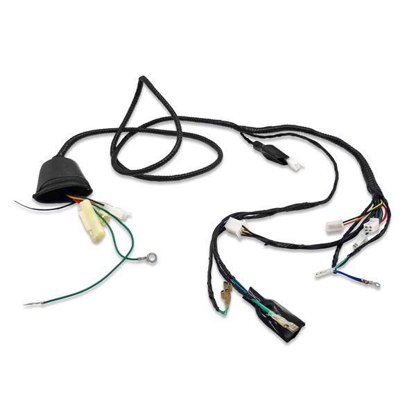 Funbikes Shark RV50 Wiring Loom