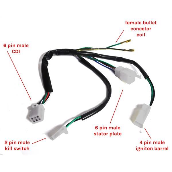 Pit Bike Wiring Loom Type 5